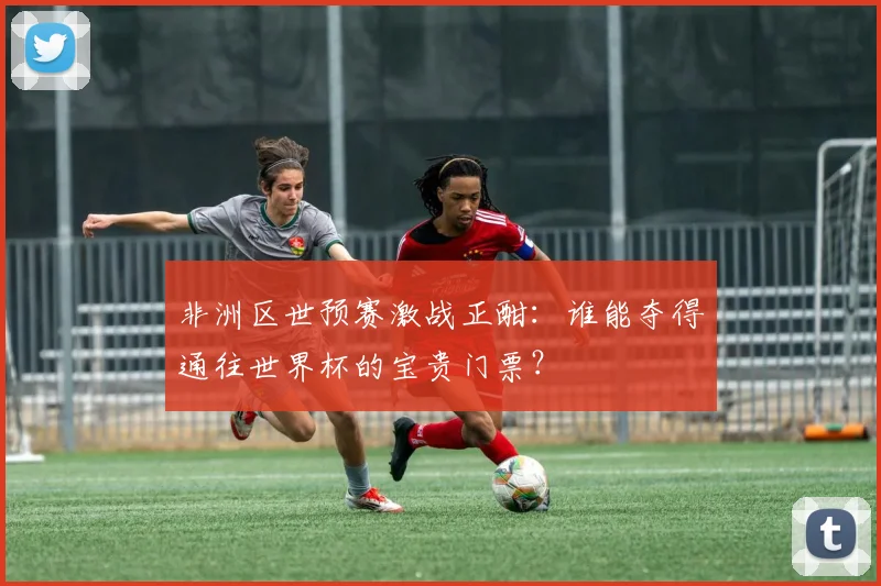 非洲区世预赛激战正酣：谁能夺得通往世界杯的宝贵门票？