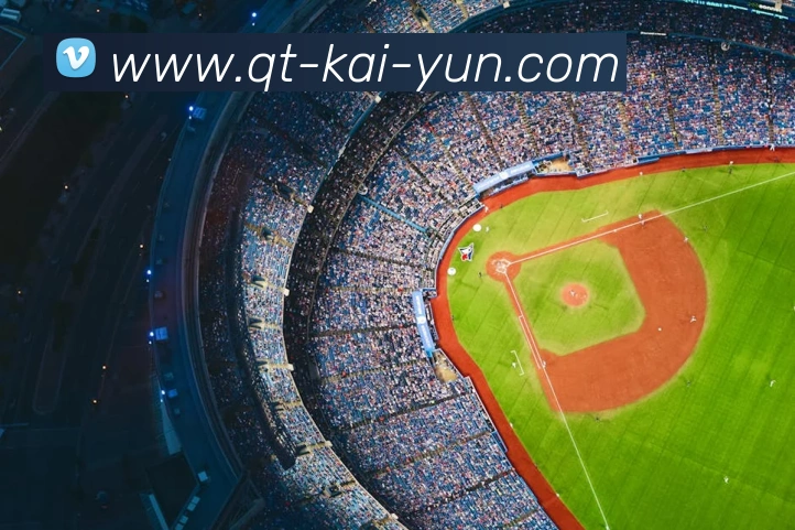 开云app服务体系